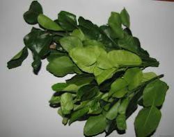 Свіжозморожене листя кафір лайма