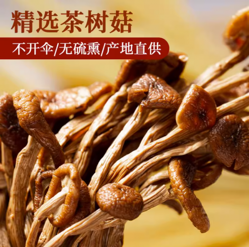 农家茶树菇特级新鲜茶薪菇干货100g