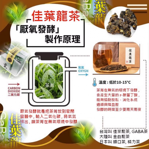中國台灣佳葉龍烏龍茶伽瑪茶GABA茶活力茶金白龍茶 厭氧發酵 50克