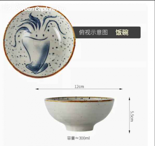 日式创意陶瓷盘碗套装家用复古和风釉下彩米饭碗可爱的碗拉面碗 4.75" (12см) 鱿鱼造型