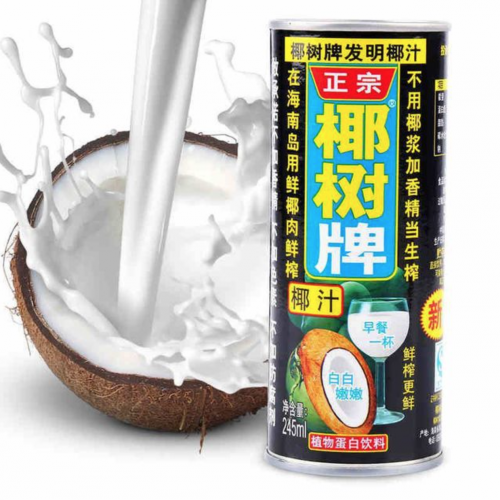 正宗 椰树牌椰子汁饮料245ML 植物蛋白饮品 