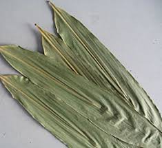 Сушеные листья бамбука для китайский цзунцзы 20 штук